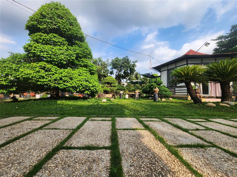 Bán Nhanh  2620m2 Đất Lô Góc Nguyễn Thị Đành Hóc Môn Chỉ 75 Tỷ - Ảnh 3